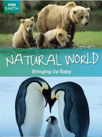 自然世界 动物母性 Natural World Bringing Up Baby 2009年 [全1集][BBC纪录片]