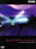 超自然力量 Supernatural: The Unseen Powers of Animals 1999年 [全6集][BBC纪录片]