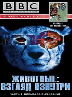 透视动物 Animal The Inside Story 2006年