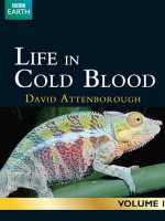 冷血动物面面观 Life In Cold Blood 2008年