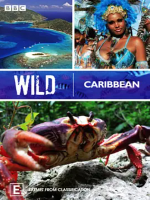 野性加勒比 Wild Caribbean 2007年 [全4集]