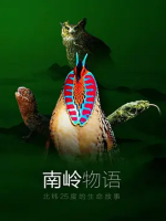 南岭物语 Nanling Mountains 2021年 [3集][普通话][1080超清]