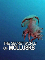 软体动物的秘密世界 Le monde merveilleux des mollusques 2013年 [全1集][普通话][1080P]