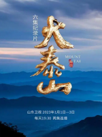 大泰山[6集][纪录片][国语中字][1080P]