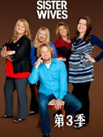 我的妻子们是好姐妹 Sister Wives [第三季共12集[英语中字][1080P]