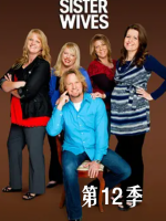 我的妻子们是好姐妹 Sister Wives [第十二季共14集[英语中字][1080P]