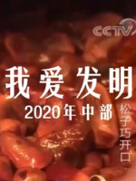 我爱发明 2020年 [中部91集][央视纪录片][国语中字][720P]
