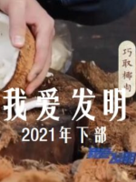 我爱发明 2021年 [下部共95集][央视纪录片][国语中字][720P]