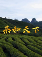 茶和天下 2019 [全4集][国语中字][1080P]