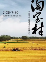 淘宝村 2019 [5集][央视纪录片][国语配音中文字幕][1080P]