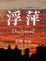 浮萍 Duckweed 1993 [彭辉纪录片][豆瓣8.0][原声配音中文字幕][720P]