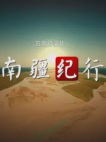 南疆纪行 2016 [5集][央视纪录片][国语配音中文字幕][1080P]