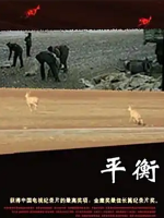 平衡 Balance 2000 [彭辉纪录片][豆瓣9.4][原声配音中文字幕][1080P]