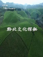 黔北文化探秘 2017 [3集][央视纪录片][国语配音中文字幕][1080P]