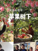 苹果树下 2016 [4集][国语中字][1080P]