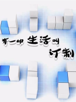 有一种生活叫定制 [5集][央视纪录片][国语配音中文字幕][1080P]