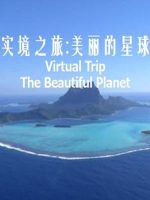 实境之旅 美丽的星球 Virtual Trip The Beautiful Planet 2010 [音乐风景]