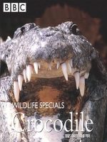 自然世界 鳄鱼谣 Natural World Crocodile Blues 2008年[全1集]