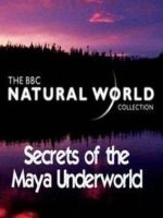 自然世界：玛雅地下世界之谜 Natural World: Secrets of the Maya Underworld 2005