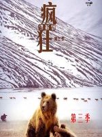 疯狂摄影师 2019 [第三季全6集][央视纪录片][国语配音中文字幕][1080P]