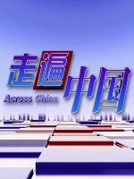 走遍中国·小康路上 [10集][央视纪录片][国语配音中英双字][720P]