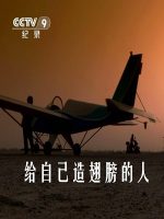 给自己造翅膀的人 [2集][央视译制纪录片][国语中字][720P]