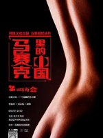 马赛克里的中国 2015 [5集][微纪录片][国语配音中文字幕]