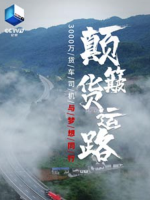 颠簸货运路 3000万火车司机与梦想同行 2020 [10集][央视纪录片][国语配音中文字幕][1080P]