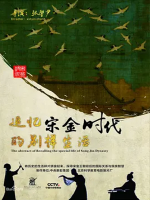 追寻宋金时代的别样生活 2018[4集][央视纪录片][国语配音中文字幕][1080P]