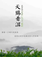 天赐普洱[4集][央视纪录片][国语中字][1080P]