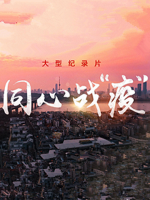 同心战“疫” 2020 [6集][央视纪录片][国语配音中文字幕][1080P]
