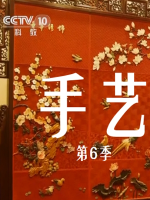 手艺 2016 [央视纪录片][第六季全16集][国语配音中文字幕][1080P]