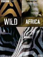 野性非洲 Wild Africa 2001年 [全6集][BBC纪录片]