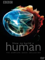 制造新人类 How to Build A Human 2002年 [全4集]