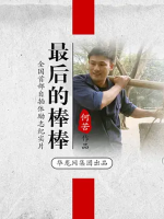 最后的棒棒 2016年 [全13集]