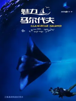 魅力马尔代夫 2014年 [全3集][普通话][1080P超清]