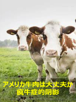 盖亚的黎明 狂牛症的阴影[日语中字]