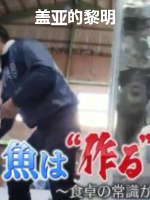 盖亚的黎明 魚は作る時代へ [日语日字]