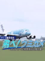 盖亚的黎明 海龟起飞! 全日空夏威夷线复航的幕后 [日语无字]