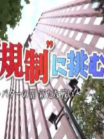 盖亚的黎明 巨大規制に挑む [日语日字]