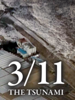 记录·311大地震155天 [日语日字]