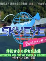 SKY EYE 来自天空的消息 广岛篇 [日语中字]