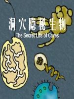 洞穴隐秘生物 BBC Horizon:The Secret Life of Caves 2003年[全1集][2003年 BBC纪录片地平线 ]