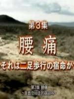 疾病的起源(3)腰痛 直立行走的宿命[日语中字]