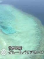 世界遗产 昆士兰湿热带地区 [日语中日双字]