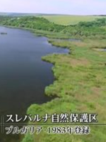 世界遗产 斯雷伯尔纳自然保护区 [日语中日双字]