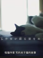 我是猫系列 “竹内熏和四只猫”[日语中日双字]