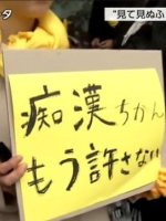让数据说话！被忽视的痴汉问题[日语中字]