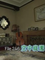 美之壶 (246) 空中庭园[日语中日双字]