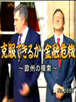 应对金融危机欧洲的摸索[日语日字]